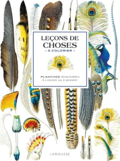 Affiches à colorier : Leçons de choses