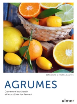 Agrumes