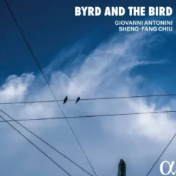 AlbumCD 12 CM LP Byrd and the Bird