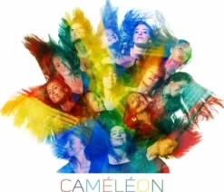 AlbumCD 12 CM LP Cameleon