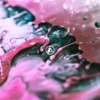 AlbumCD 12 CM LP From Zero
