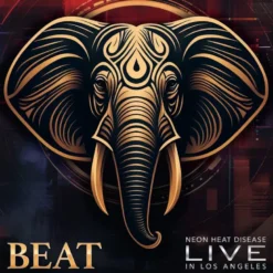 AlbumCD 12 CM LP Live