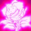 AlbumCD 12 CM LP Rose Fluo