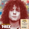 Album2 LP Bolan B Sides