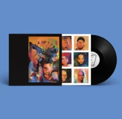 Album33 T 30 CM An Inbuilt Fault