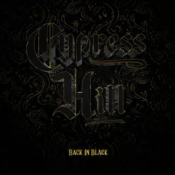 Album33 T 30 CM Back in Black