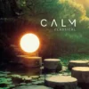 Album33 T 30 CM Calm Classical (Vinyle)