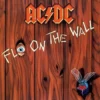 Album33 T 30 CM Fly On The Wall (50th Anniversary Gold Color Vinyl)