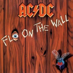 Album33 T 30 CM Fly On The Wall (50th Anniversary Gold Color Vinyl)