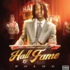 Album33 T 30 CM Hall of Fame