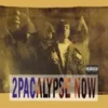 Album33 T 30 CM 2Pacalypse Now