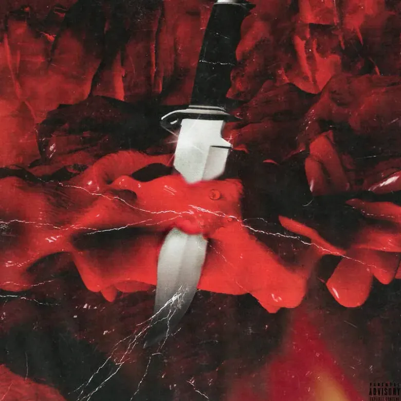 Album33 T 30 CM Savage Mode