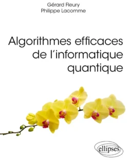 Algorithmes efficaces de l’informatique quantique