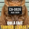 ANIMALIBI - Qui a fait tomber le vase ?