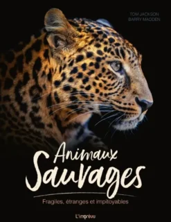Animaux sauvages