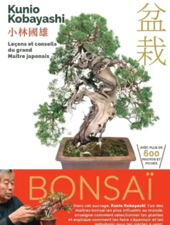 Bonsaï - Leçons et conseils du grand Maître japonais