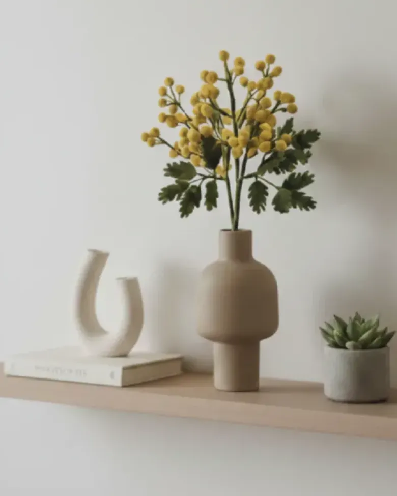 Branche de Mimosa