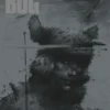 Bug