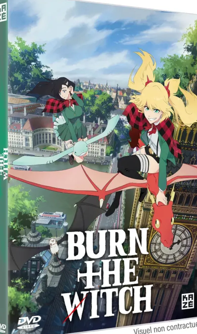 Burn the Witch - DVD (2020)
