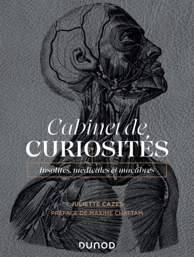 Cabinet de curiosités