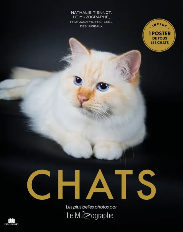 Chats