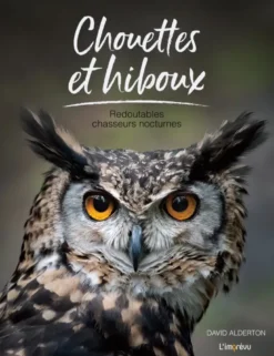 Chouettes et hiboux