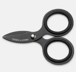 Ciseaux Mini en acier Noir