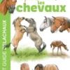 Comprendre facilement les chevaux
