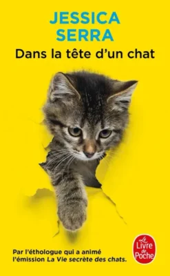 Dans la tête d'un chat
