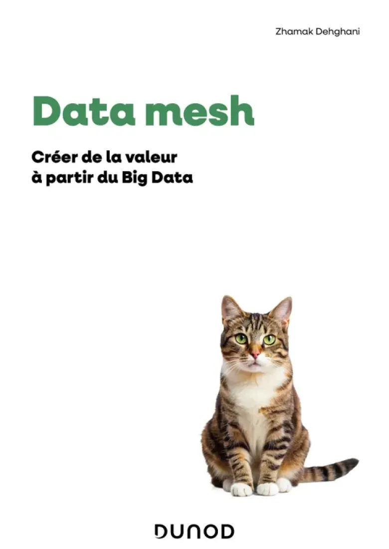 Data mesh