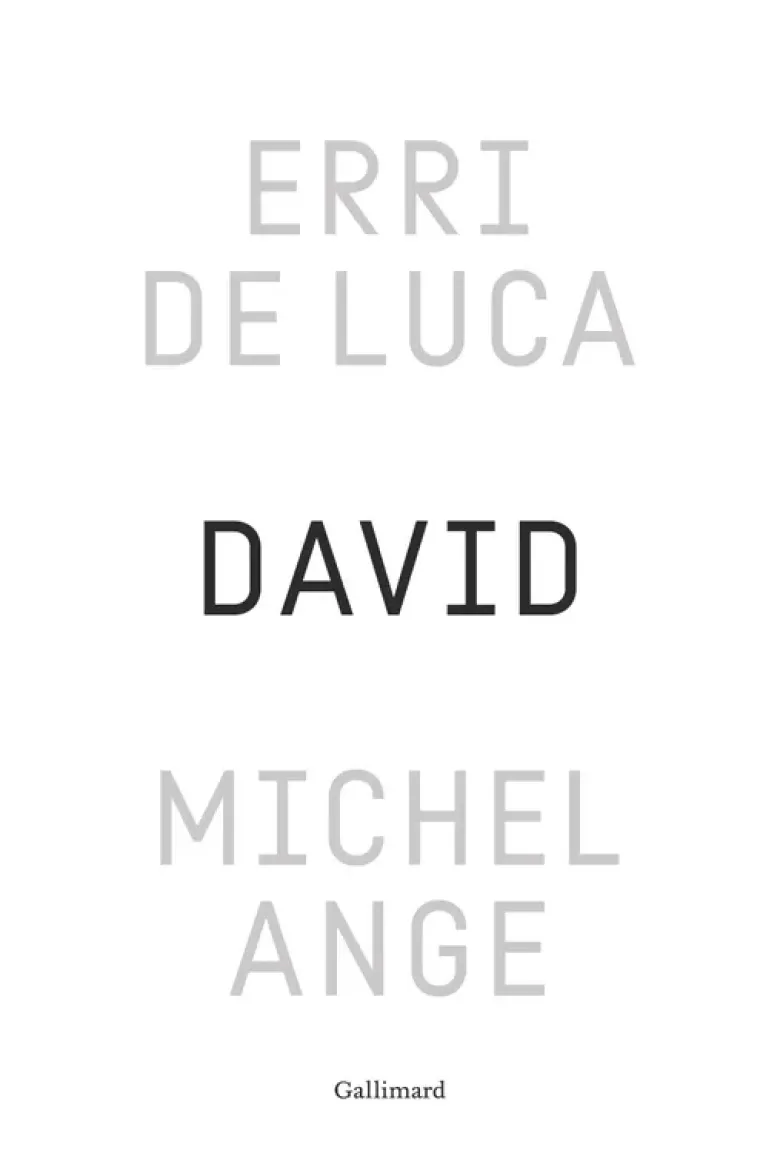 David, Michel-Ange