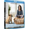 Désordres - Blu-ray (2022)
