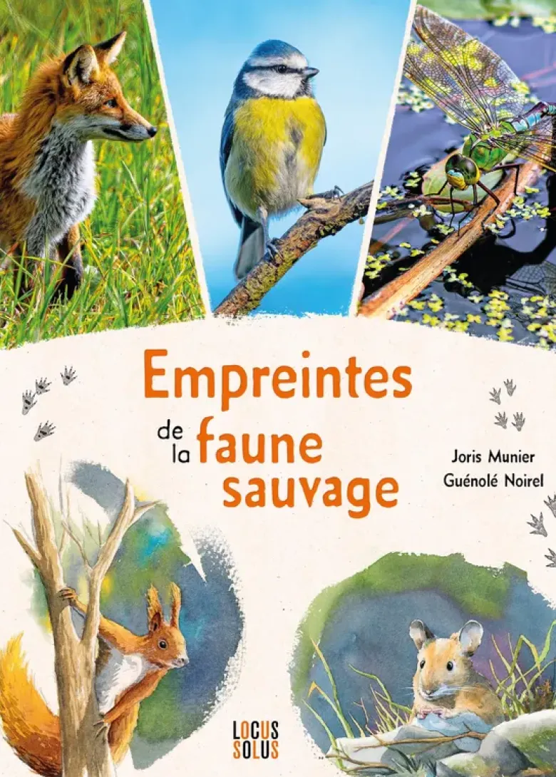 Empreintes de la faune sauvage