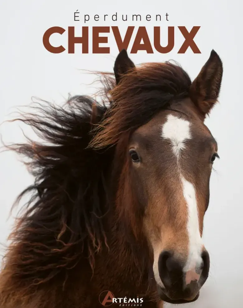 Eperdument chevaux