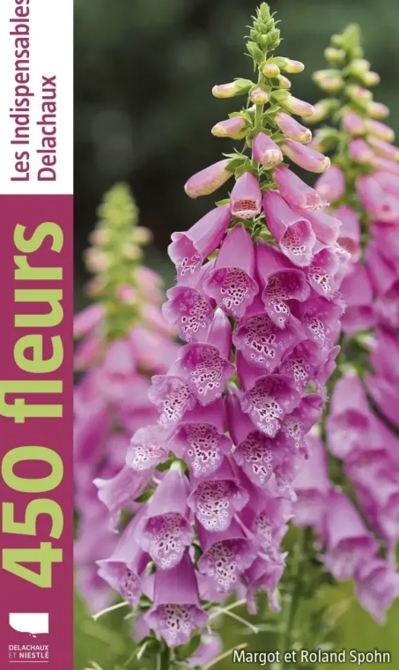 450 fleurs