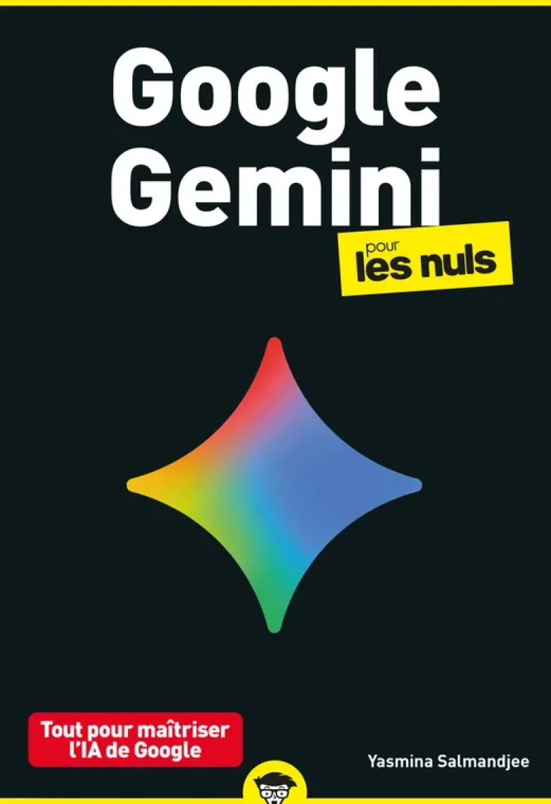 Google Gemini poche pour les Nuls