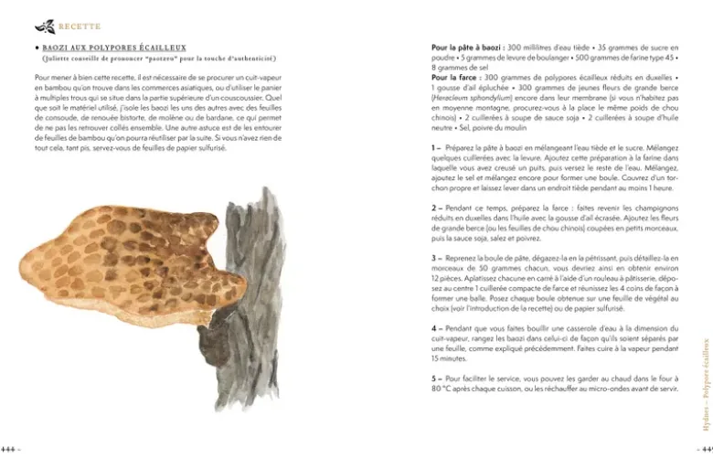 Grimoire d'une cueilleuse de champignons