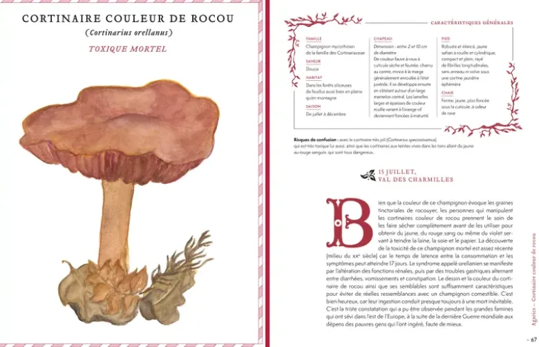 Grimoire d'une cueilleuse de champignons