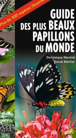 Guide des plus beaux papillons du monde
