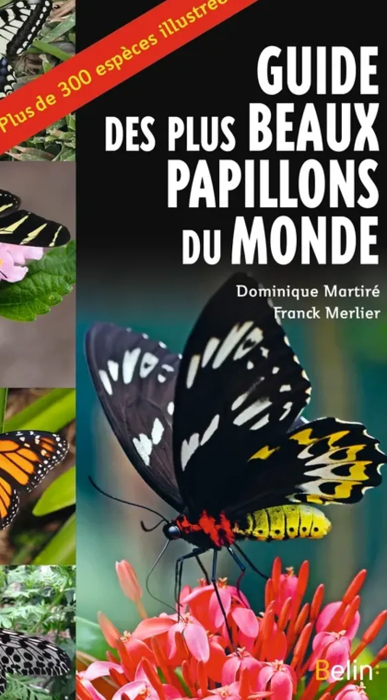 Guide des plus beaux papillons du monde