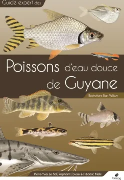 Guide des poissons d'eau douce de Guyane
