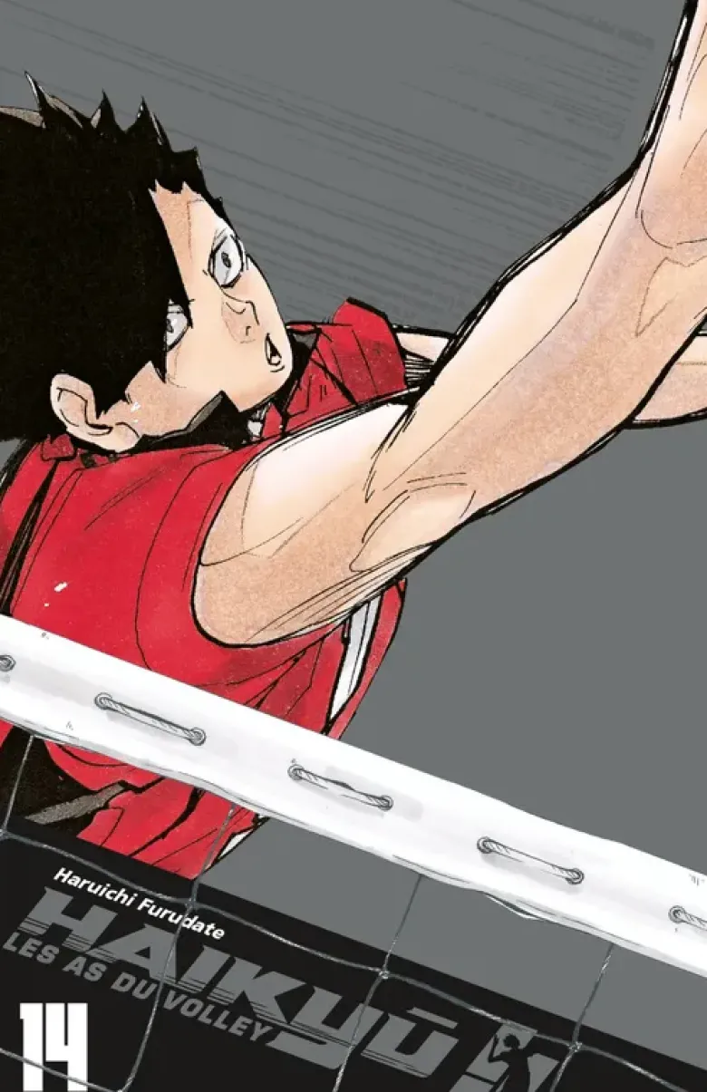 Haikyu !! : les as du volley