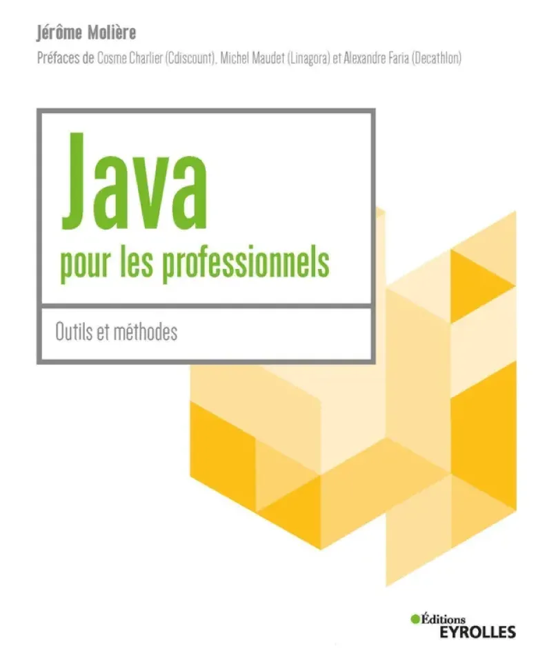 Java pour les professionnels