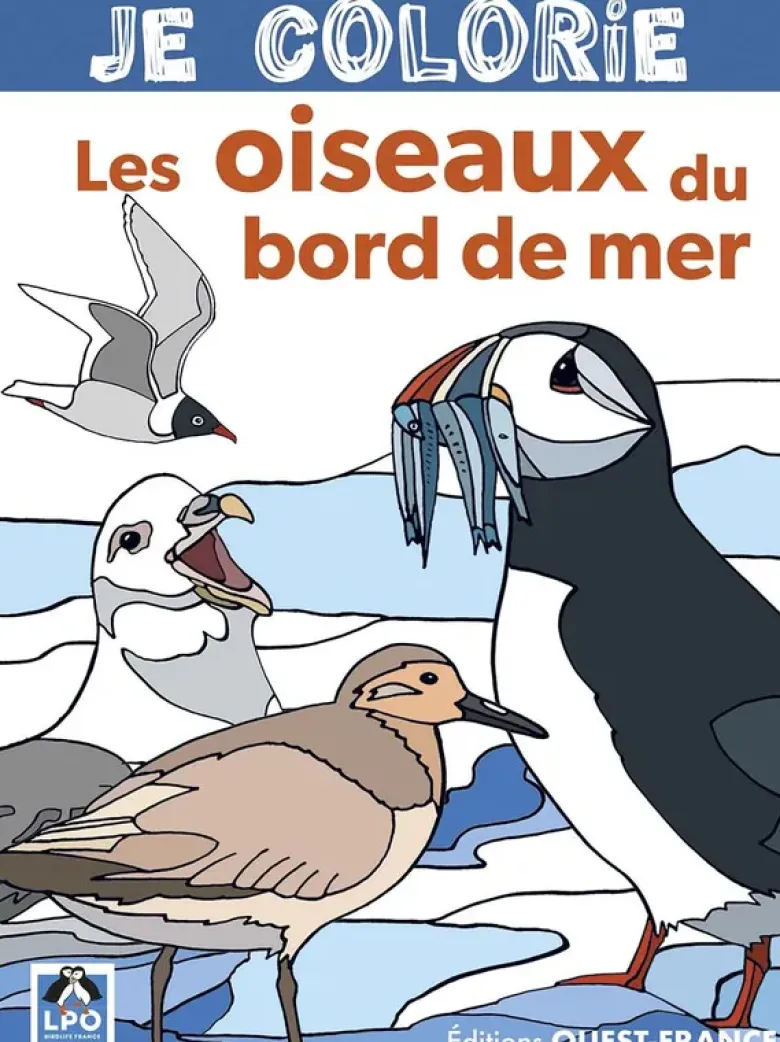 Je colorie les oiseaux du bord de mer