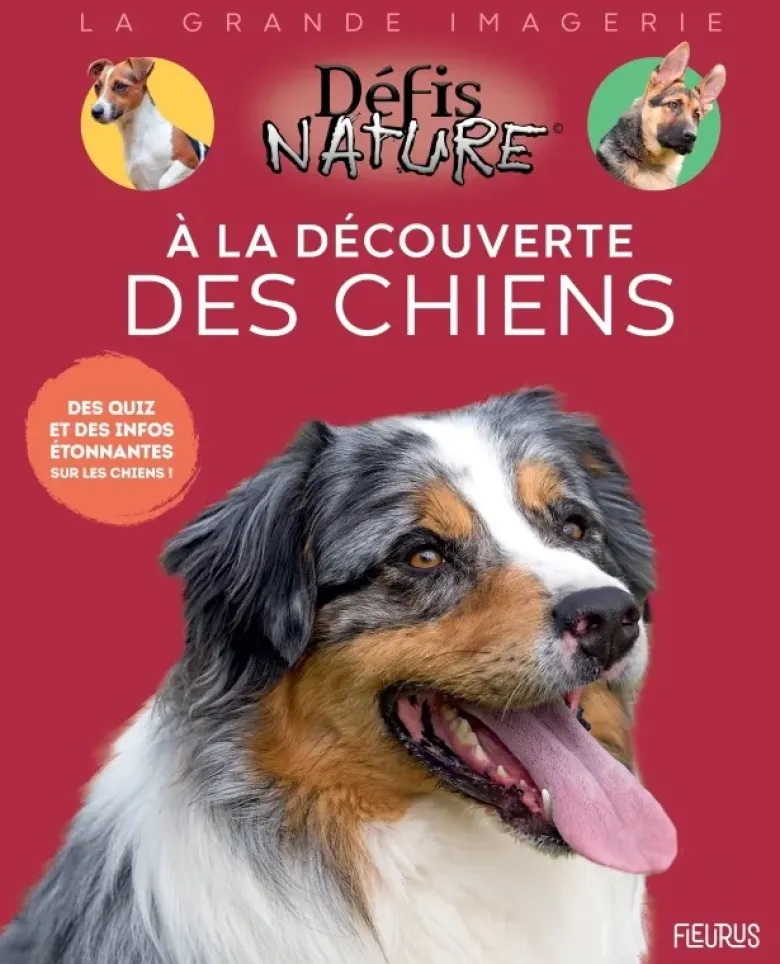À la découverte des chiens