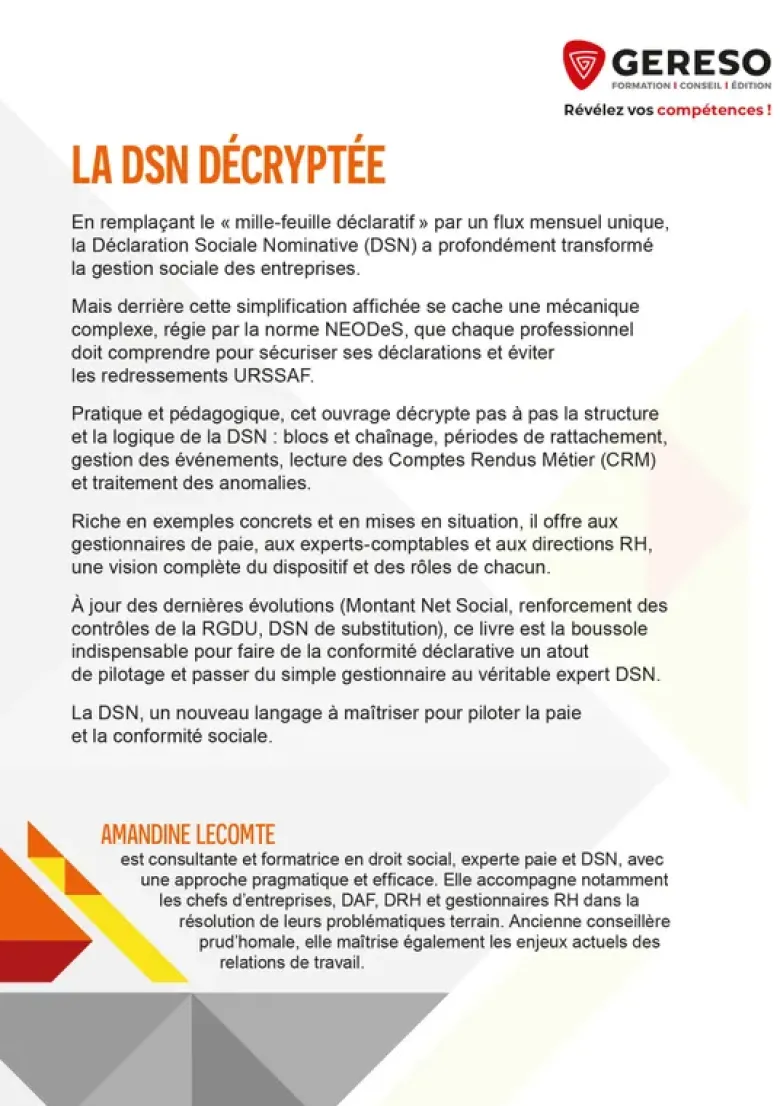 La DSN décryptée