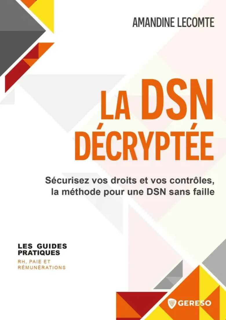 La DSN décryptée