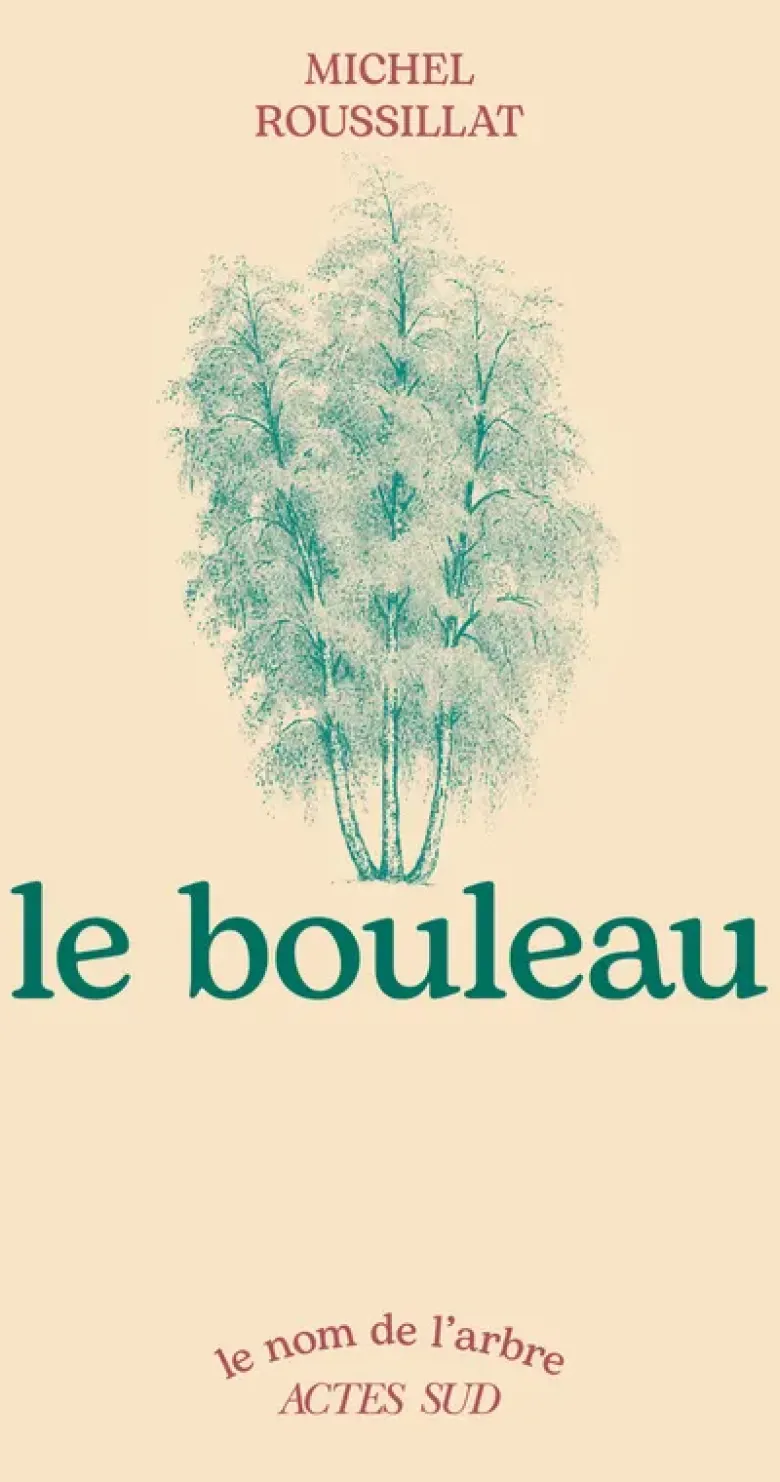 Le bouleau