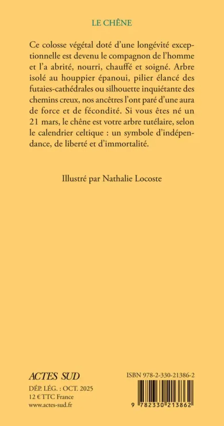 Le chêne