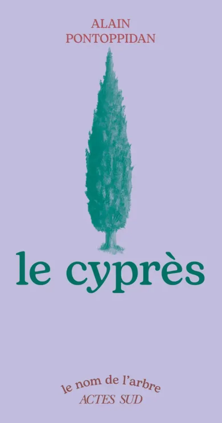 Le Cyprès